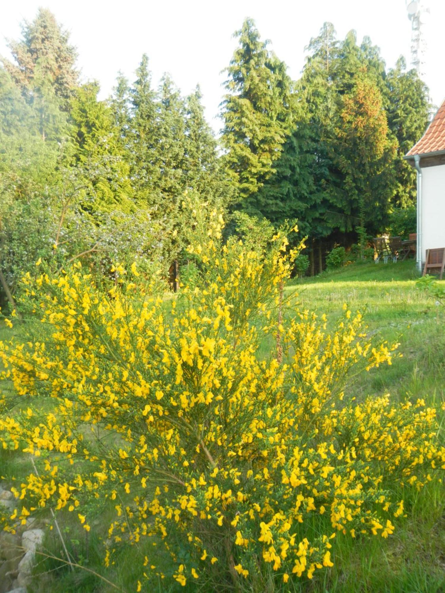 Apartment Ferienlandhaus *