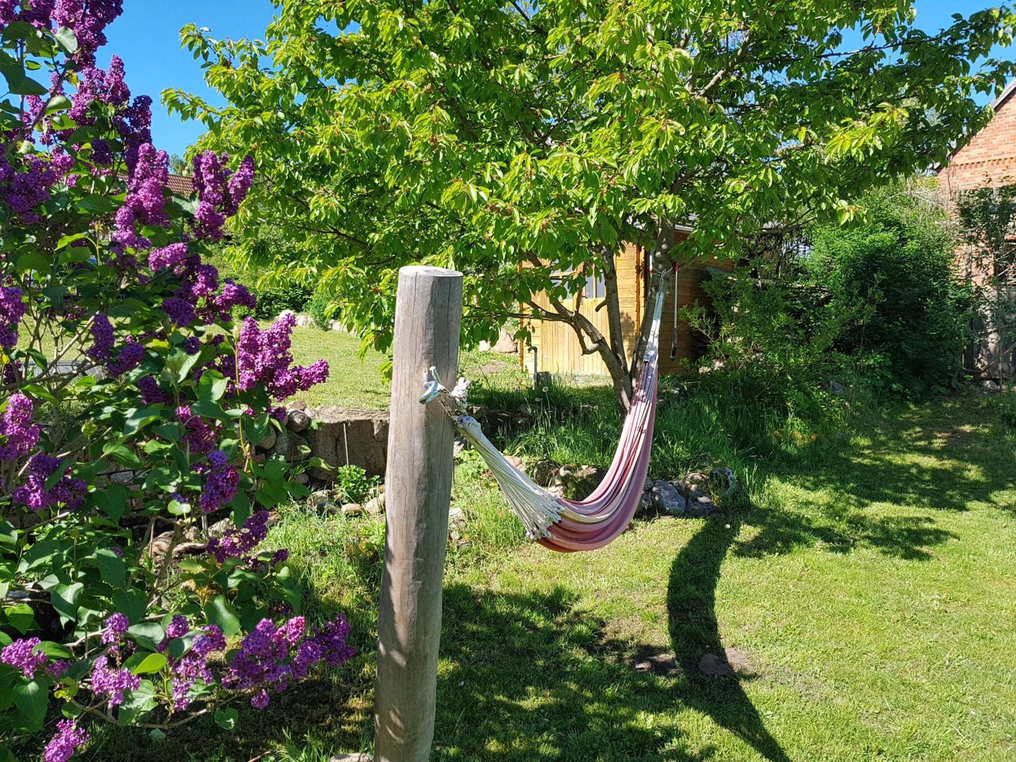 Appartement Ferienlandhaus Zempow