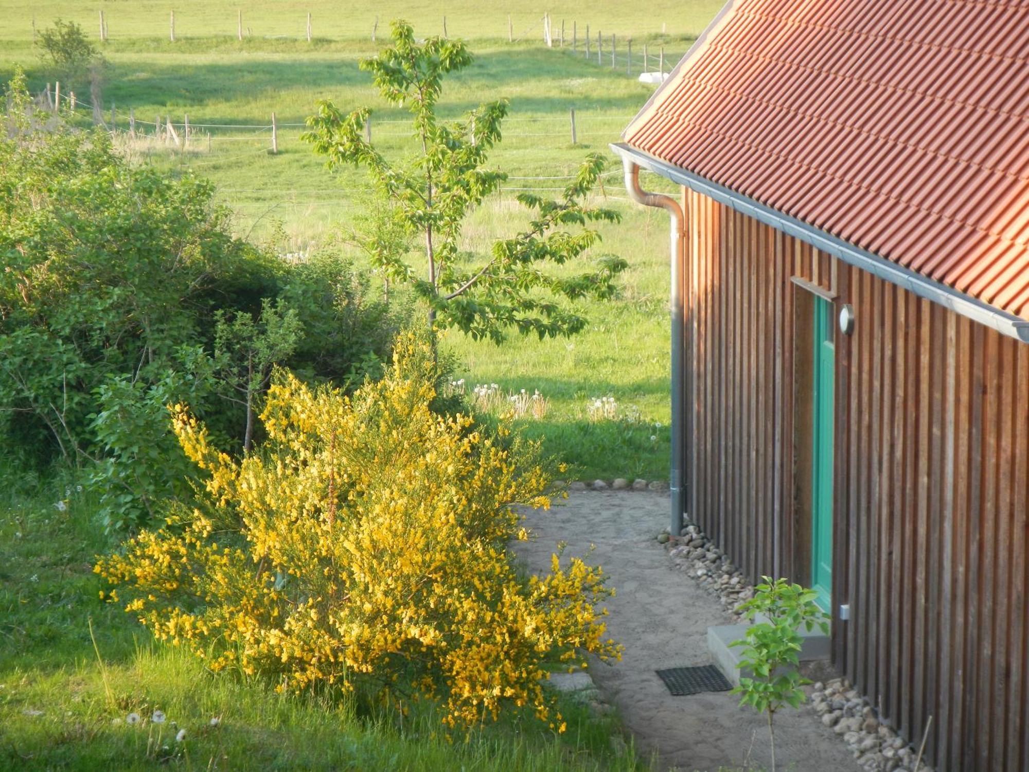 Ferienlandhaus * Zempow